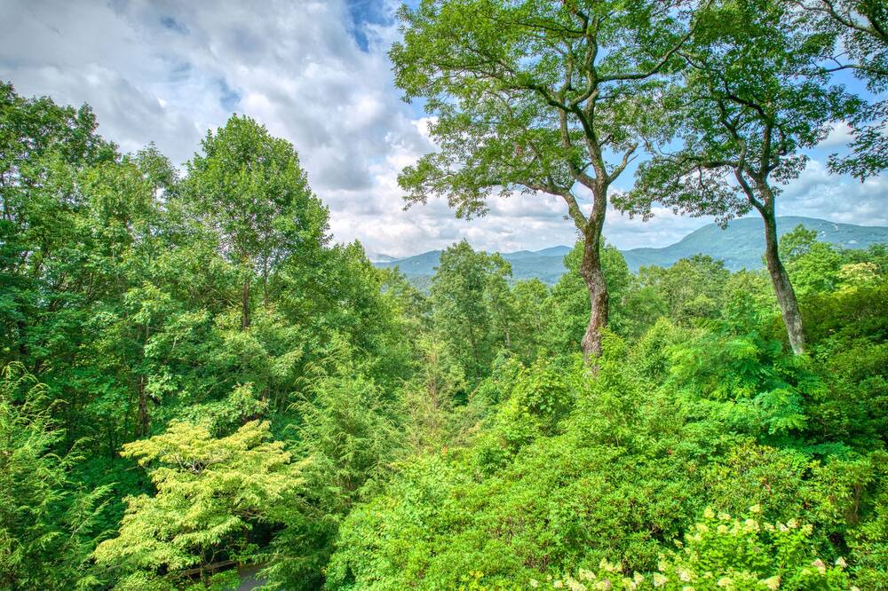 Photo of Others in Lake Toxaway