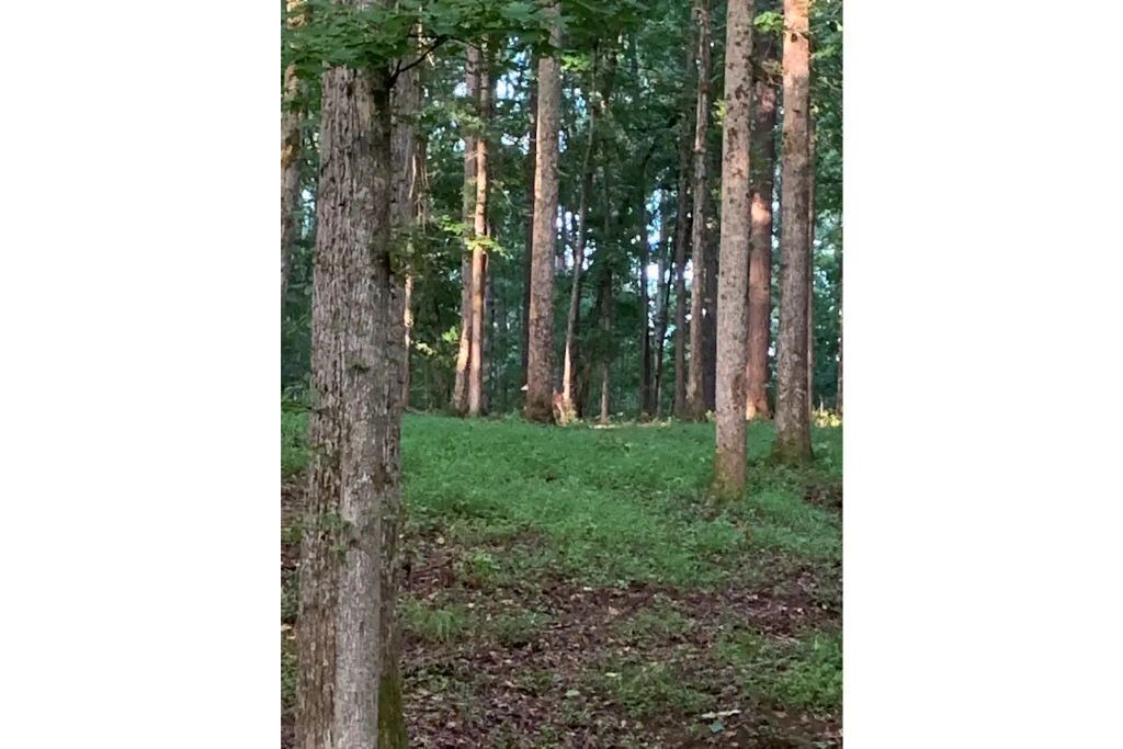 Photo of Outdoor in Chattahoochee Hills