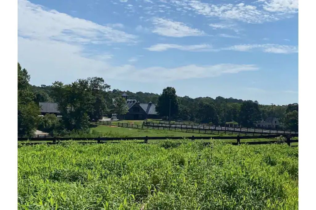 Photo of Outdoor in Chattahoochee Hills