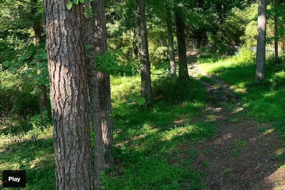 Photo of Others in Powder Springs