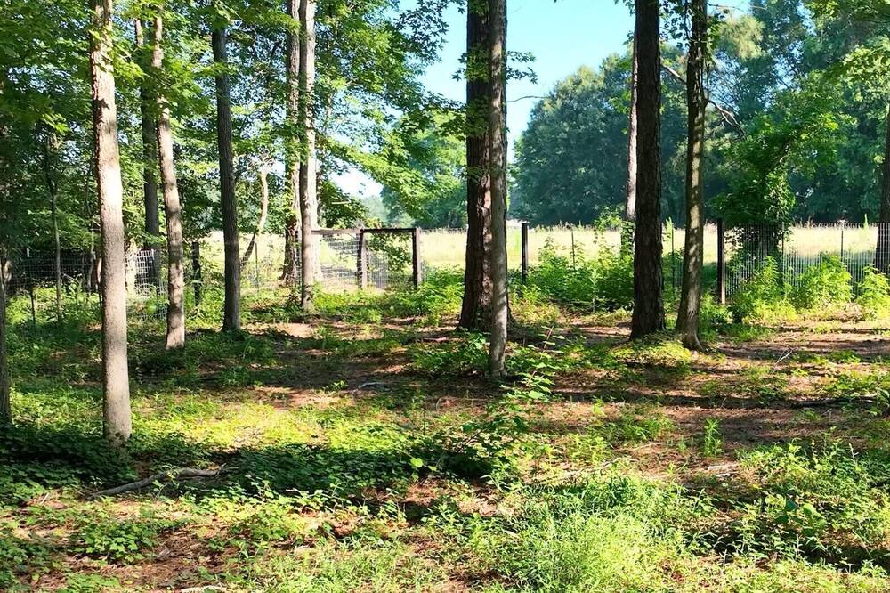 Photo of Others in Powder Springs