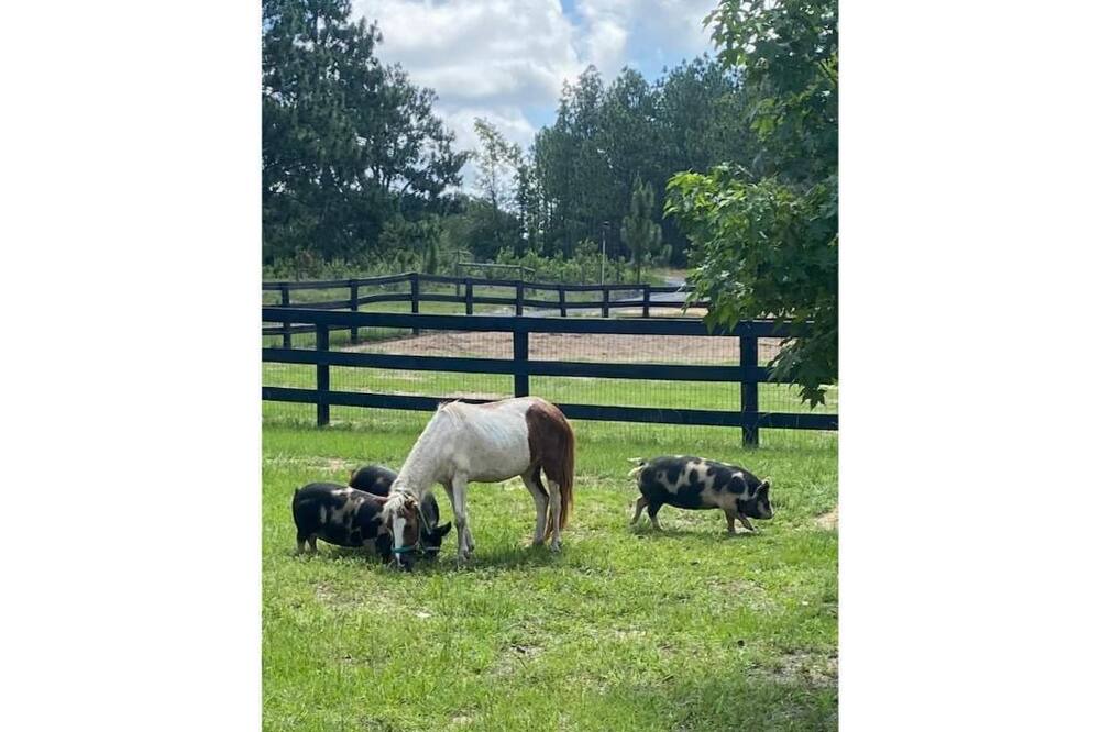 Photo of Outdoor in Aiken