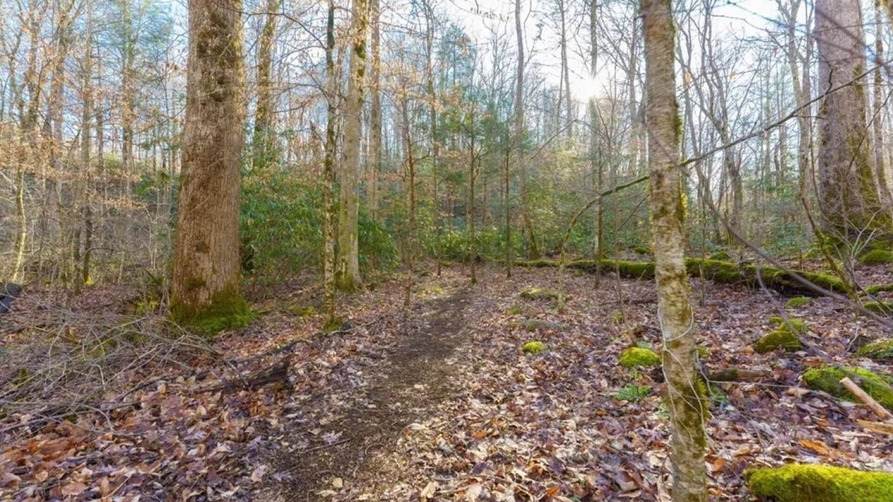 Photo of Outdoor in Rocky Grove