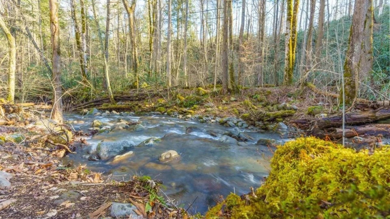 Photo of Outdoor in Rocky Grove