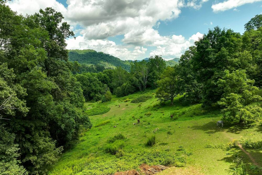 Photo of Outdoor in Maggie Valley