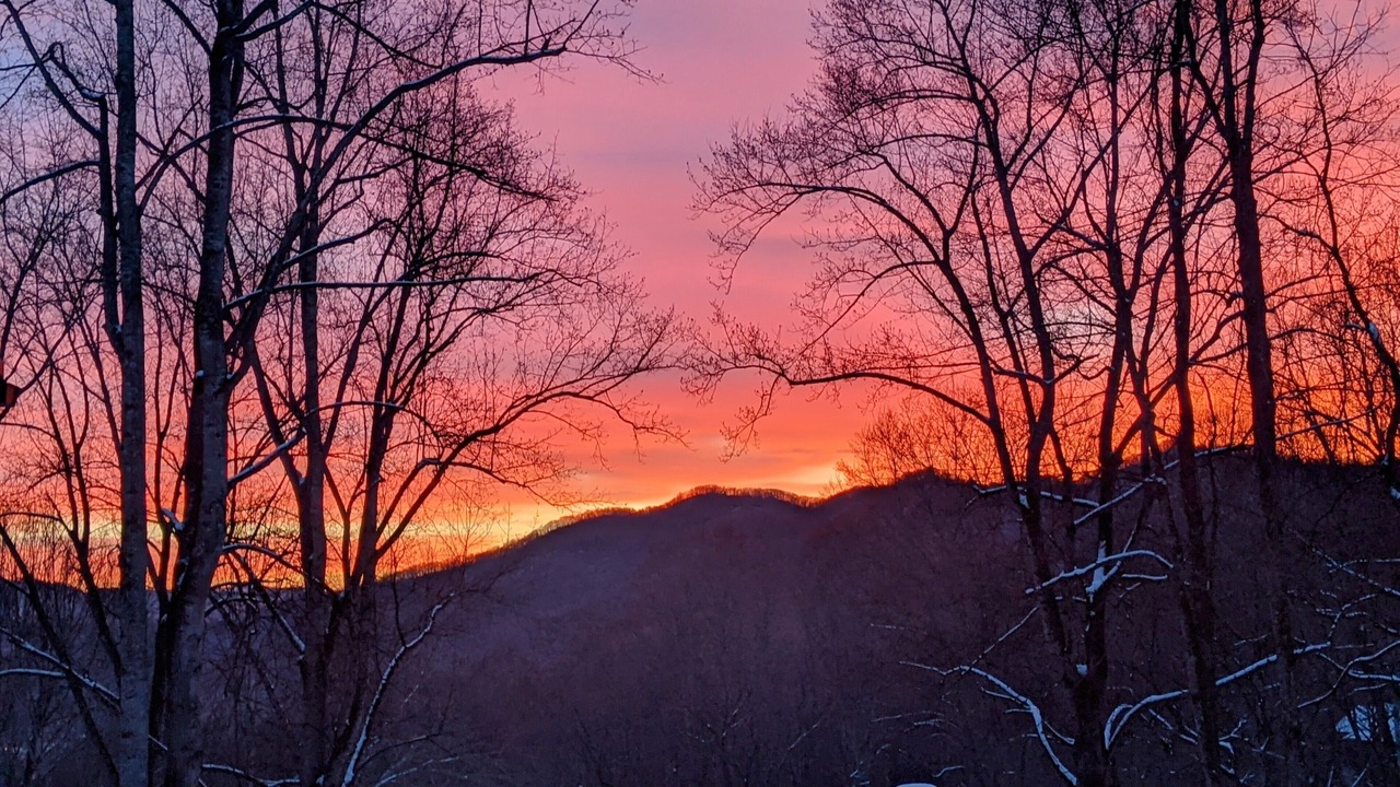 Photo of Outdoor in Hemphill Heights