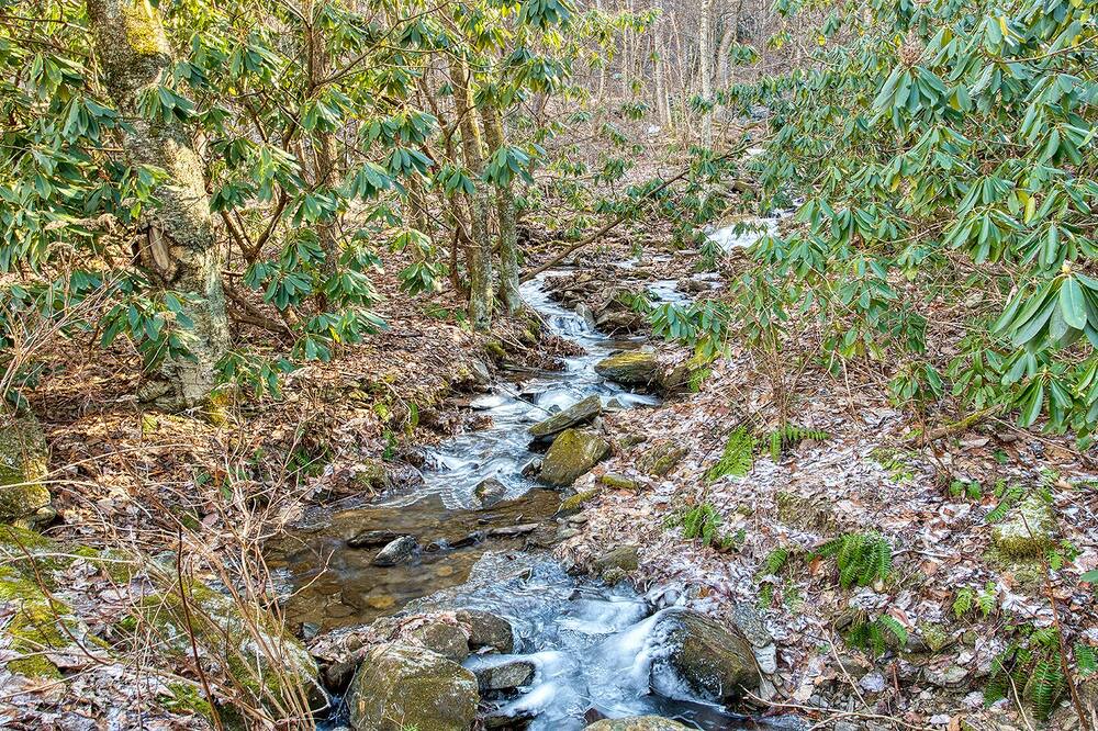 Photo of Others in Maggie Valley
