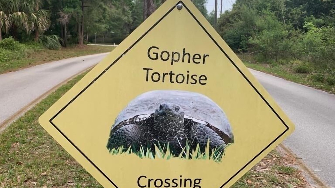 Photo of Outdoor in Palm Bay