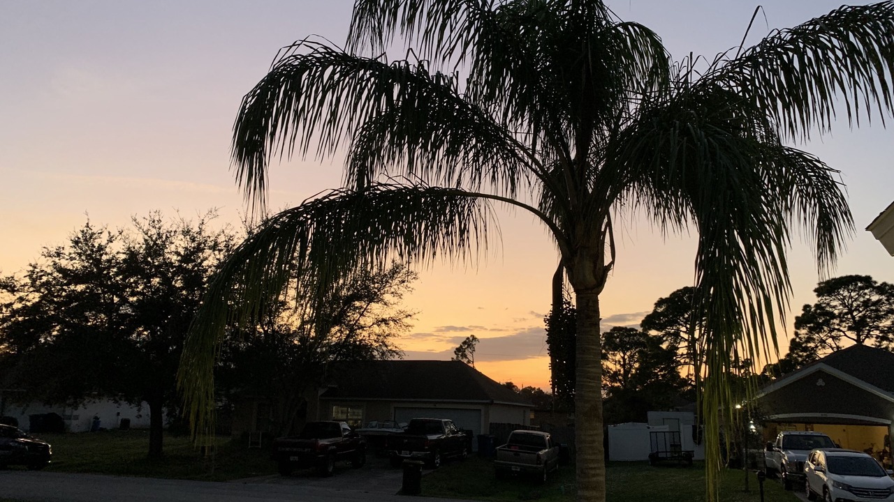 Photo of Others in Palm Bay