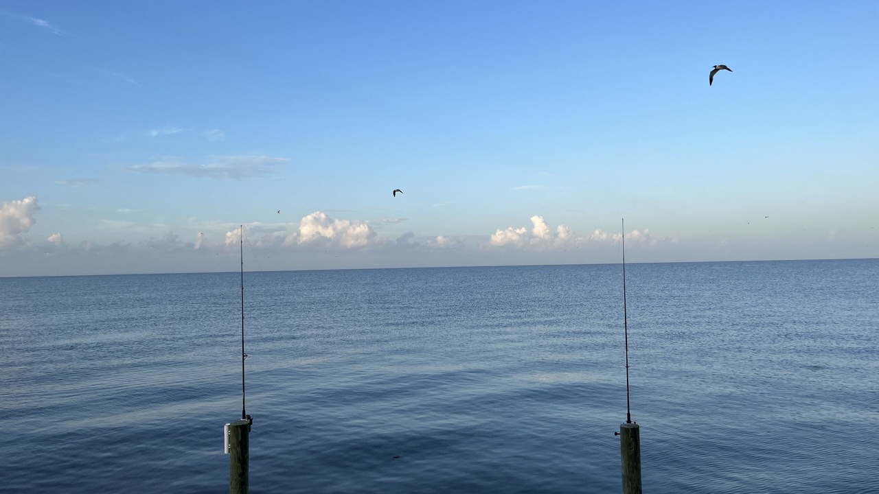 Photo of Others in Fairhope