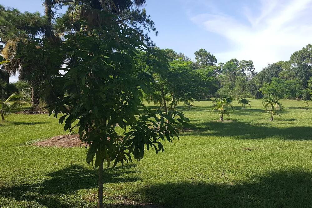 Photo of Others in Clewiston