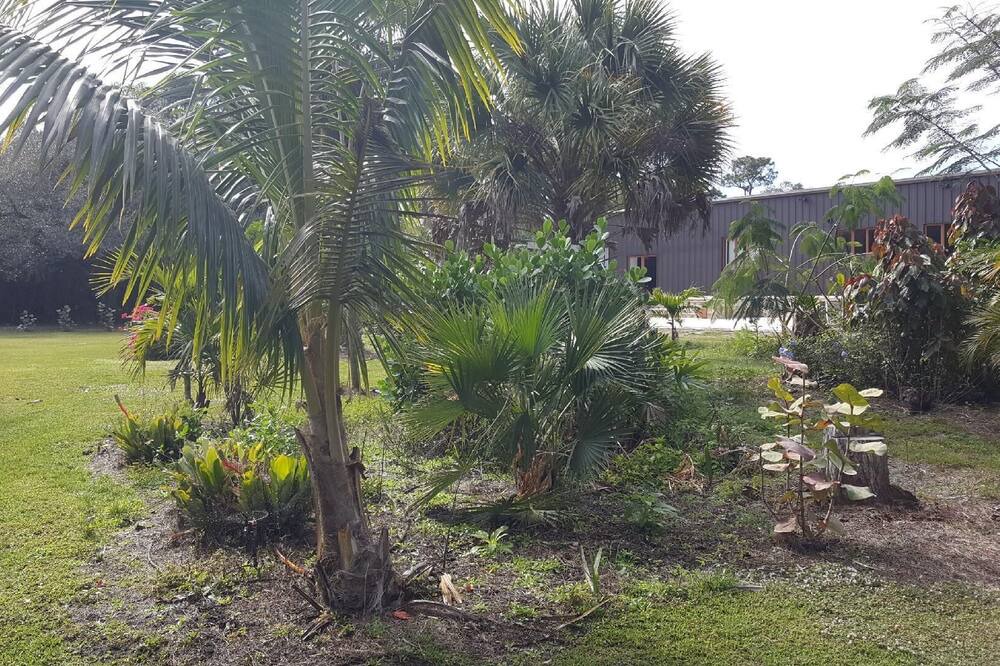 Photo of Outdoor in Clewiston