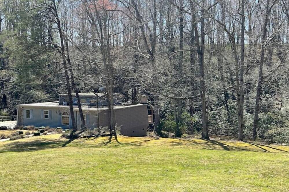 Photo of Others in Tigerville