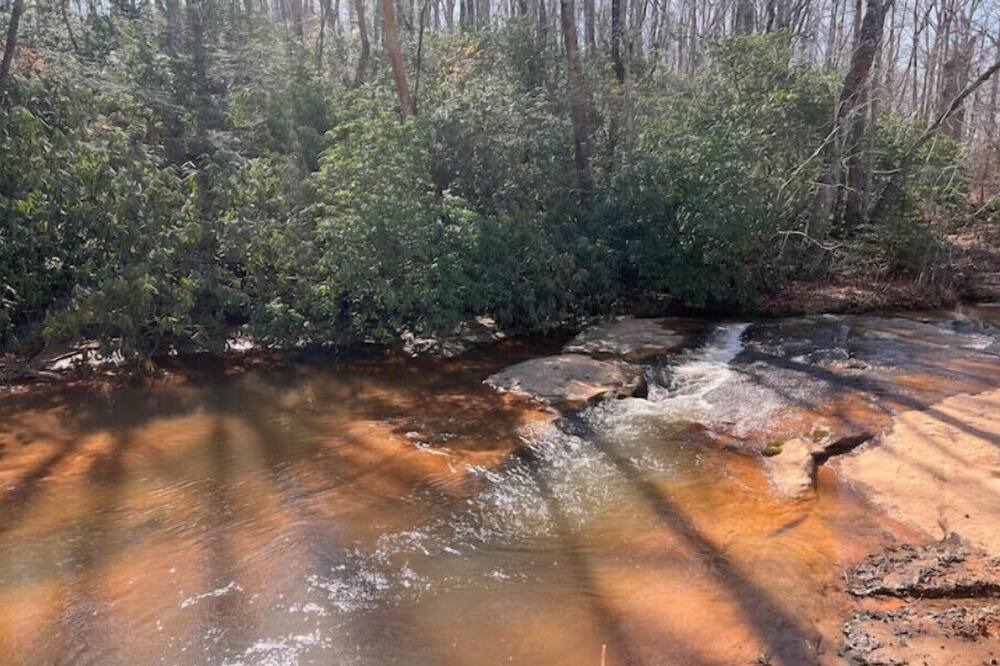 Photo of Outdoor in Tigerville