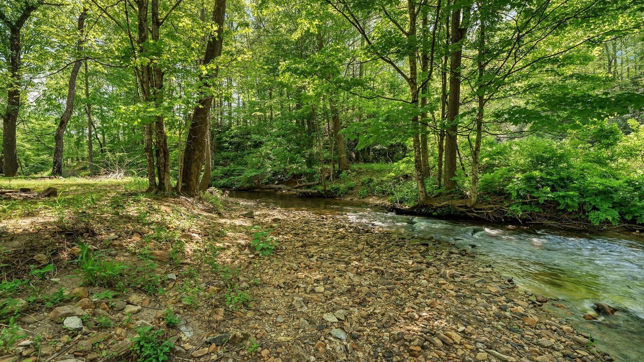 Photo of Outdoor in Newland