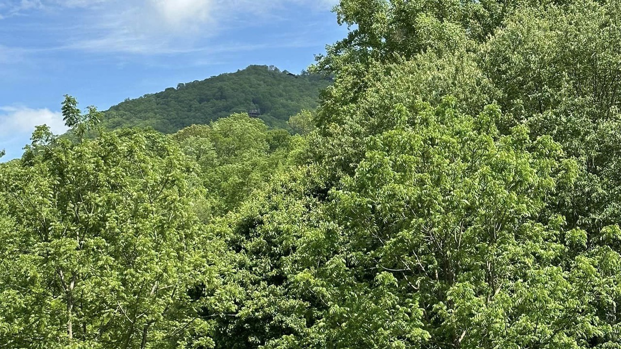 Photo of Others in Maggie Valley