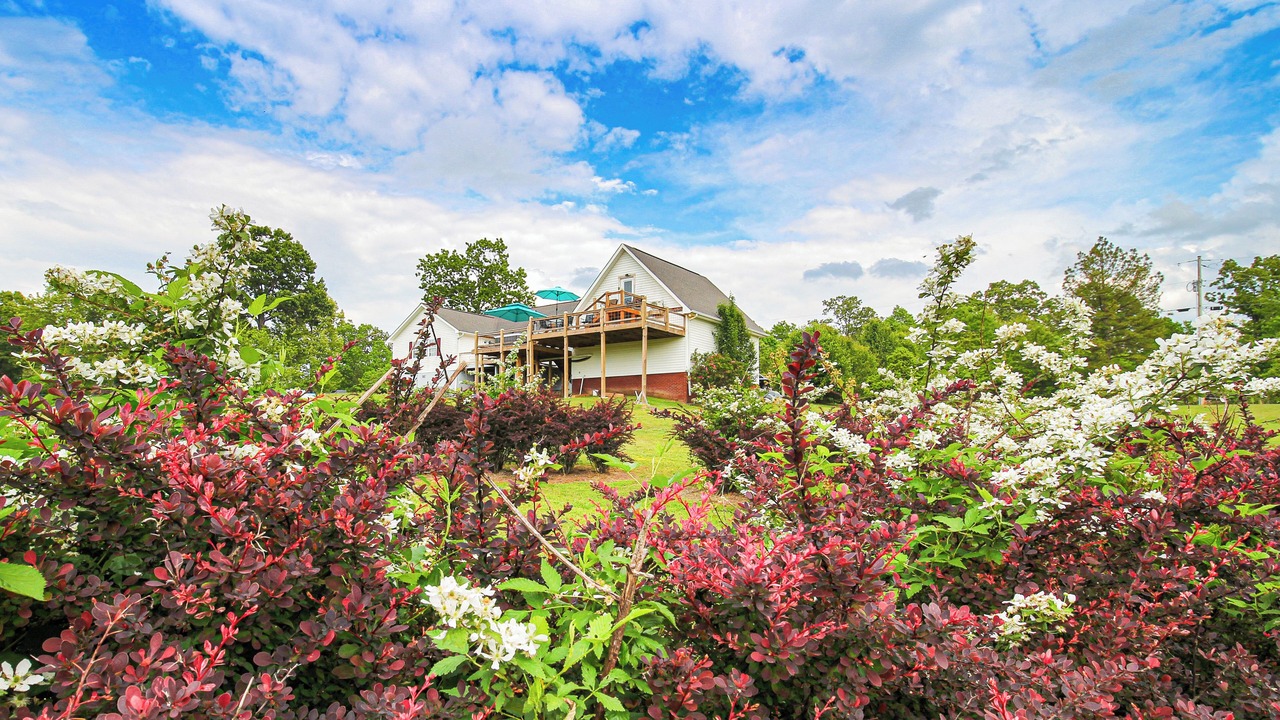 Photo of Outdoor in Bryant