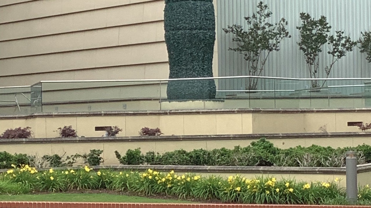 Photo of Outdoor in Ellenwood