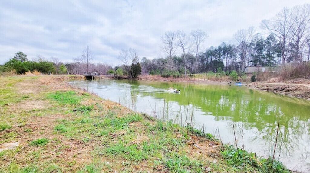 Photo of Outdoor in Double Springs