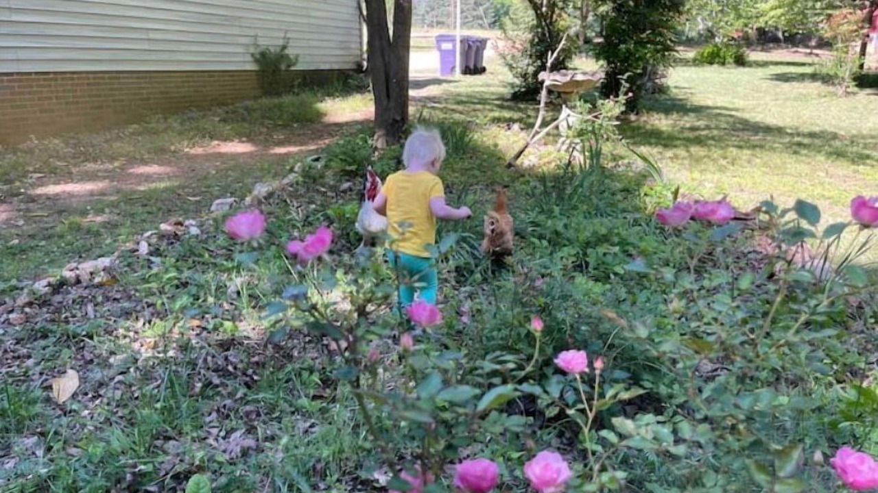 Photo of Outdoor in Leesville