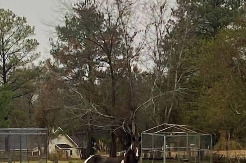 Photo of Outdoor in Holy Trinity
