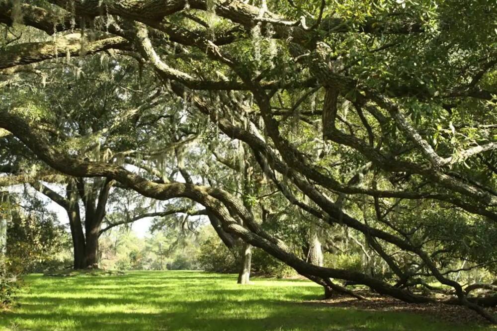 Photo of Outdoor in Johns Island
