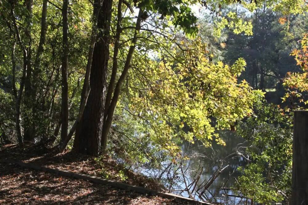 Photo of Others in Johns Island
