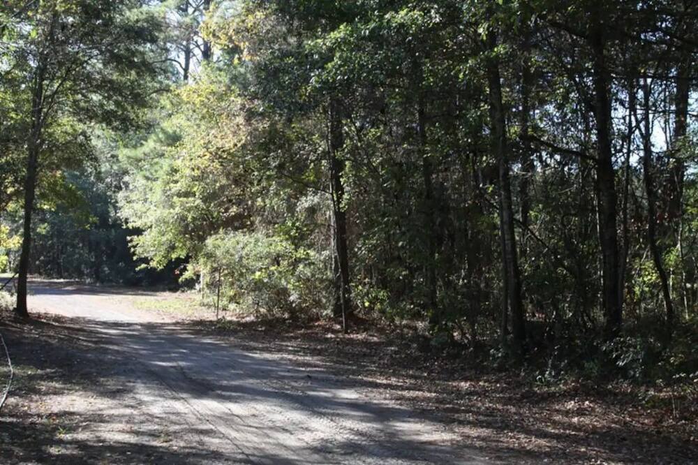 Photo of Outdoor in Johns Island