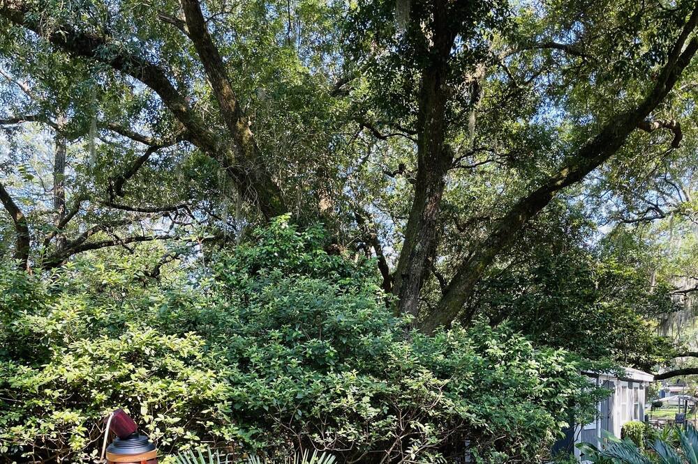 Photo of Others in Johns Island