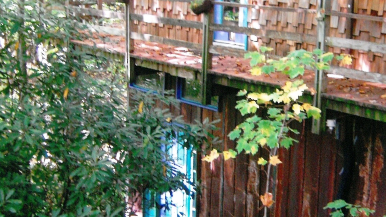 Photo of Outdoor in Bakersville