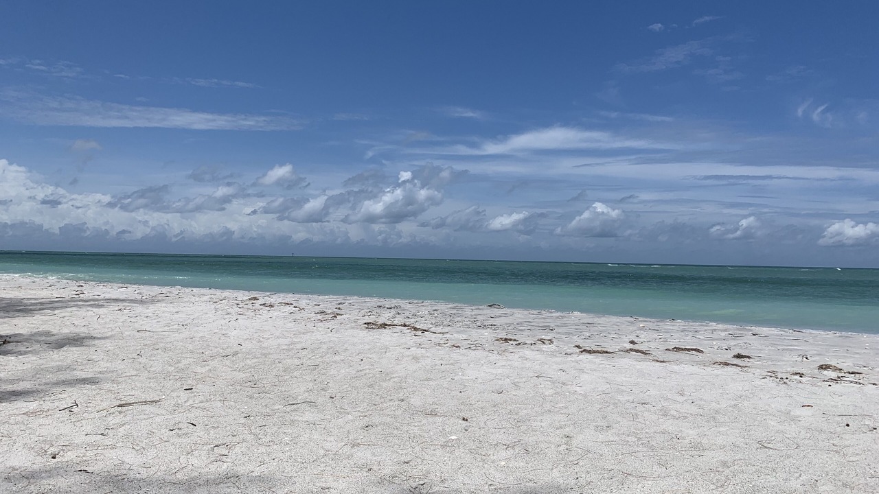 Photo of Others in Palm Island