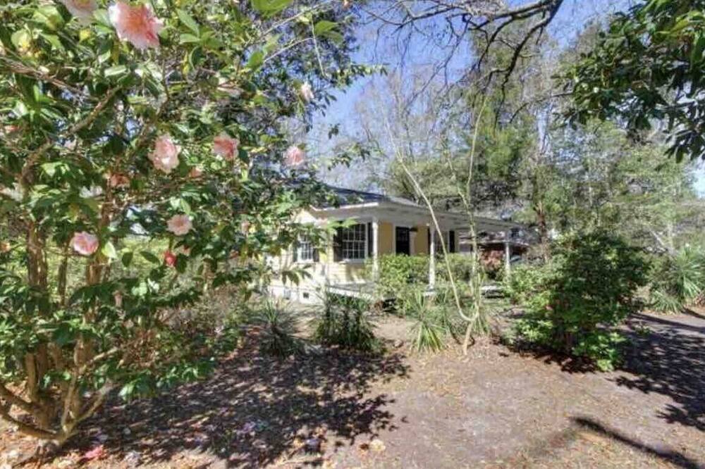 Photo of Outdoor in West Ashley