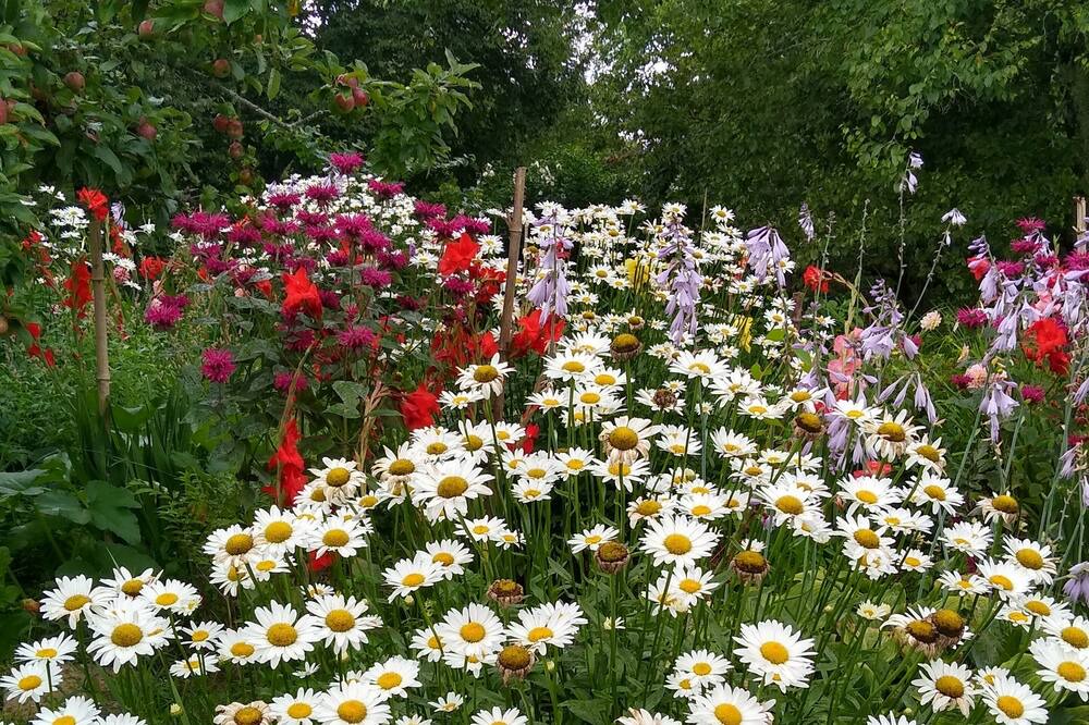 Photo of Outdoor in Glenville