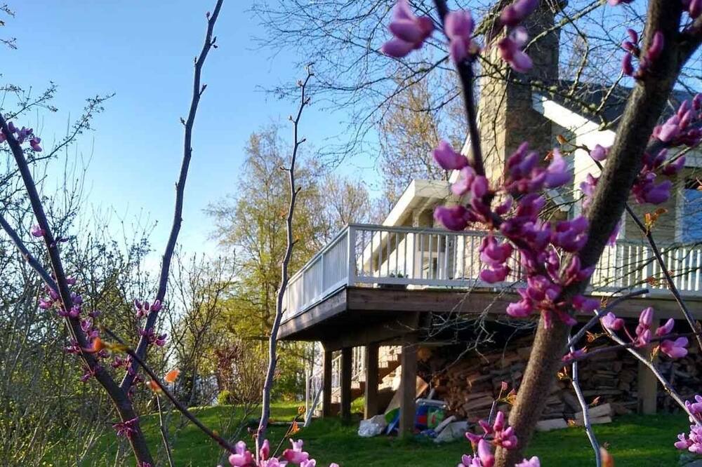 Photo of Outdoor in Glenville