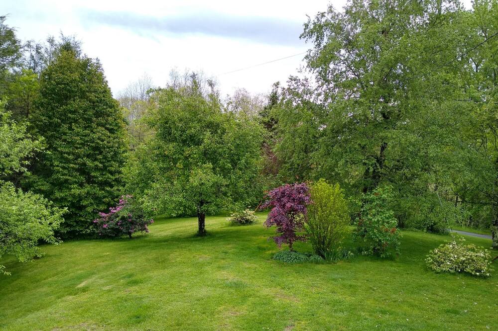 Photo of Outdoor in Glenville