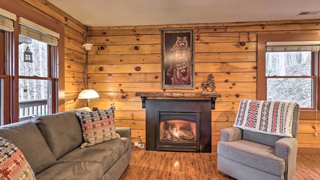 Photo of Livingroom in Asheville