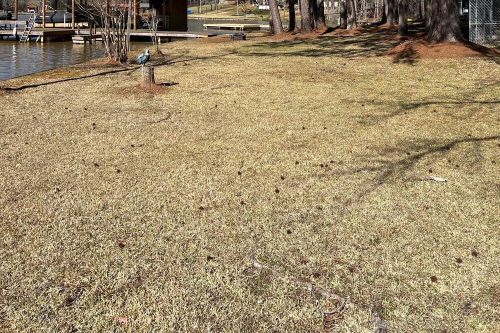 Photo of Outdoor in Eatonton