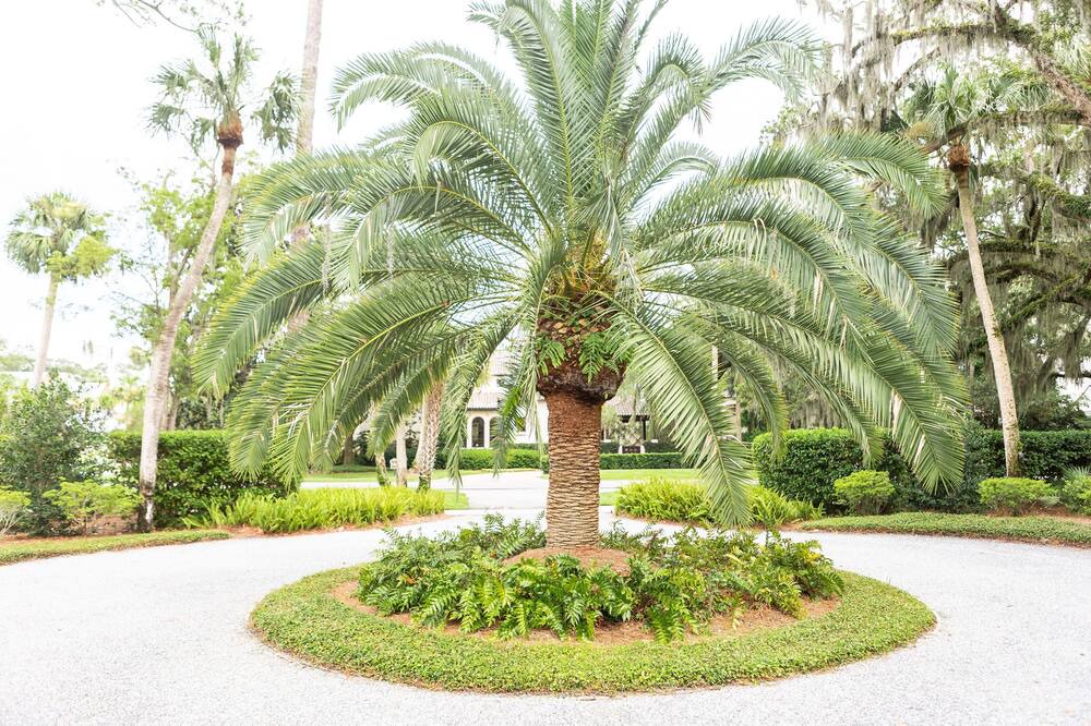 Photo of Others in Sea Island