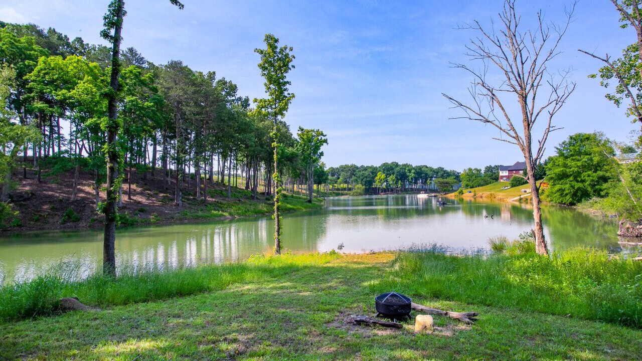 Photo of Outdoor in Baneberry