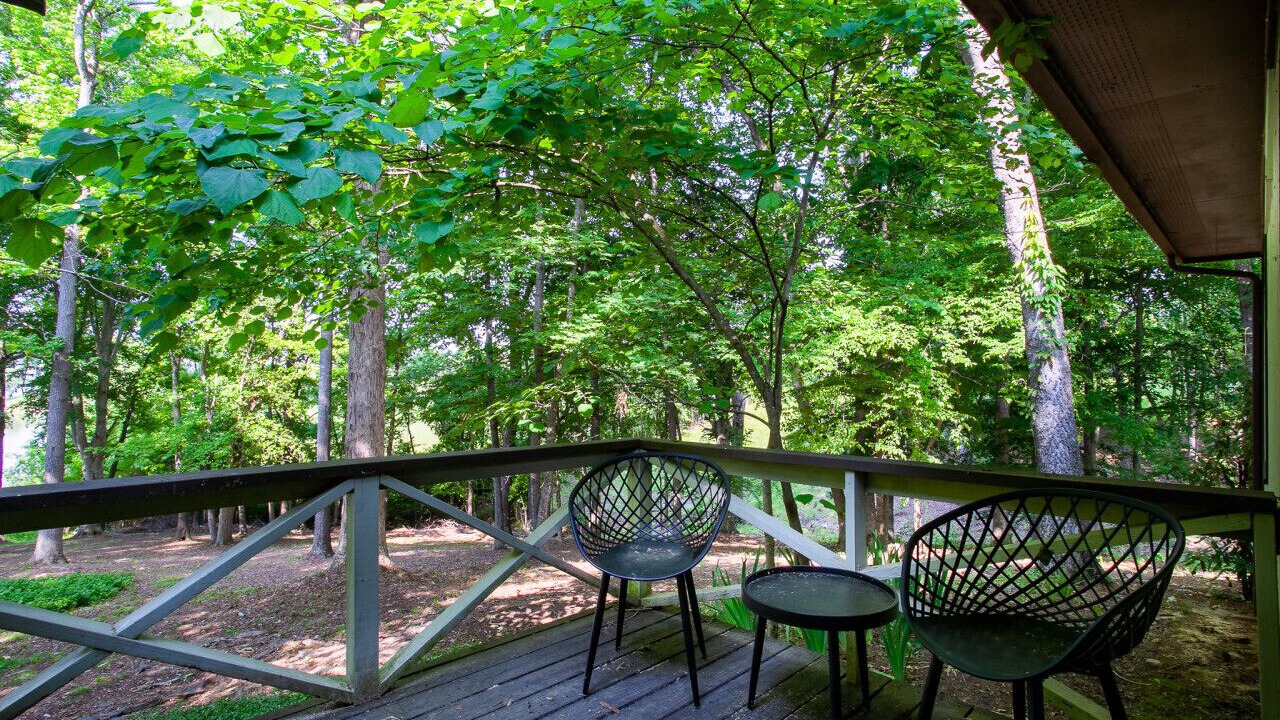 Photo of Outdoor in Baneberry
