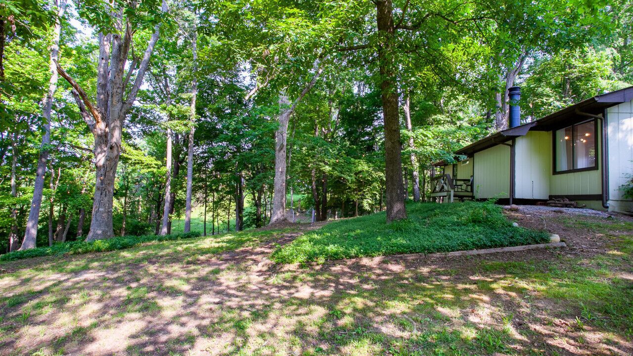 Photo of Outdoor in Baneberry