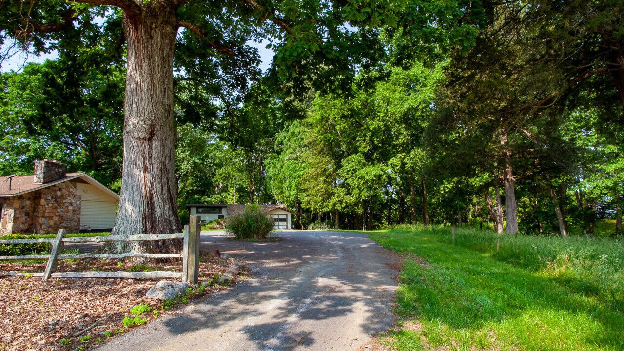 Photo of Outdoor in Baneberry