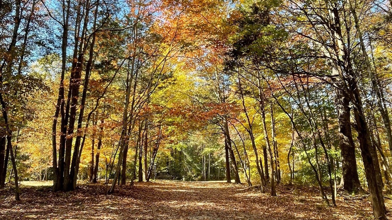 Photo of Outdoor in Estill Springs