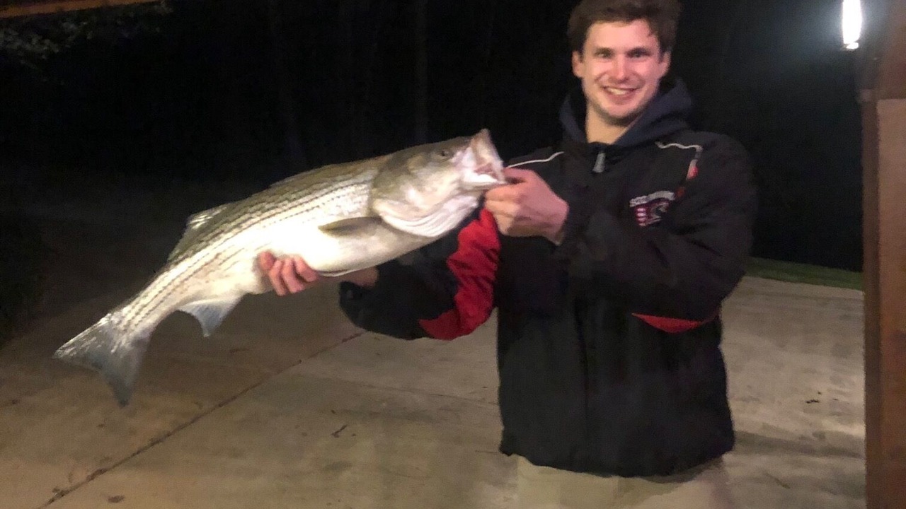 Photo of Others in Estill Springs
