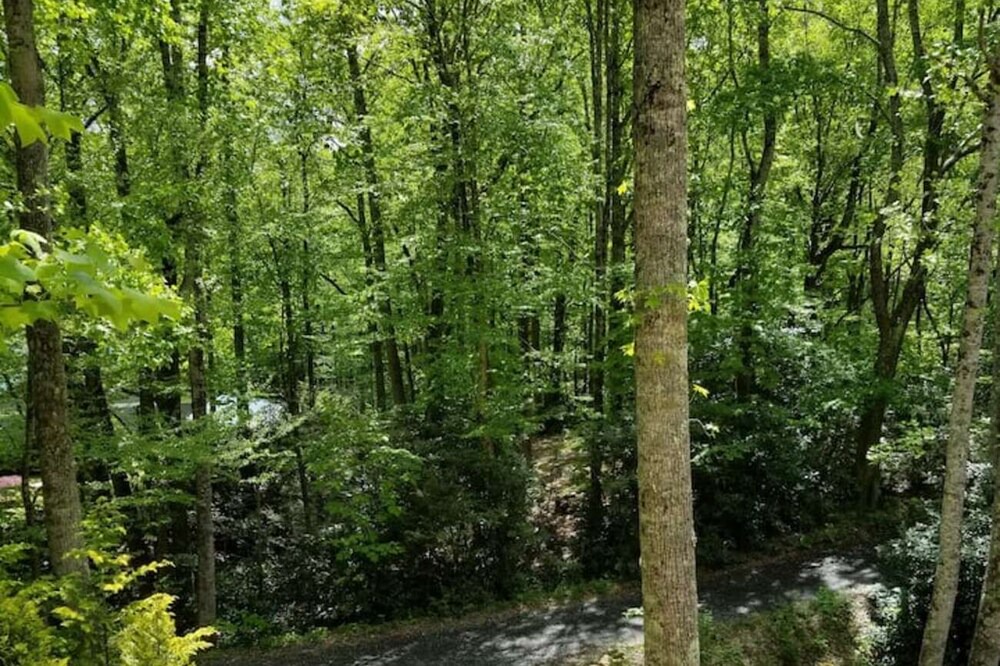 Photo of Outdoor in Celo