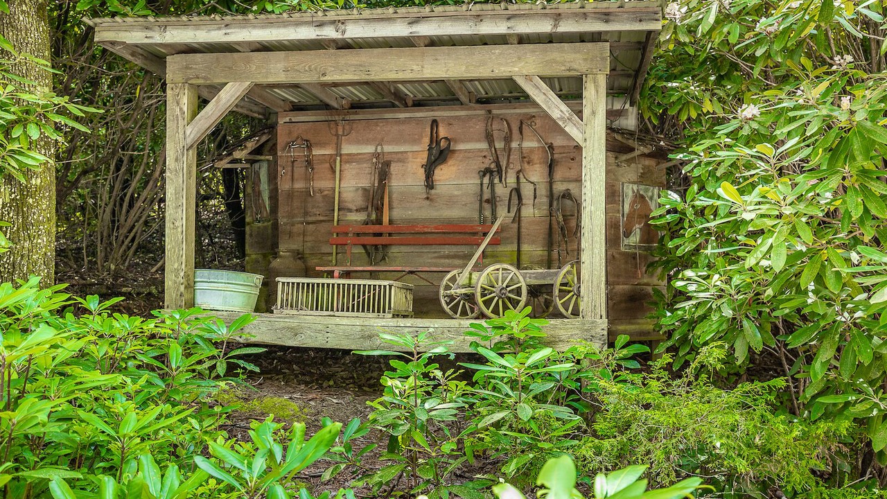 Photo of Outdoor in Lake Toxaway