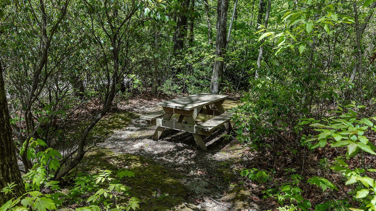 Photo of Outdoor in Lake Toxaway