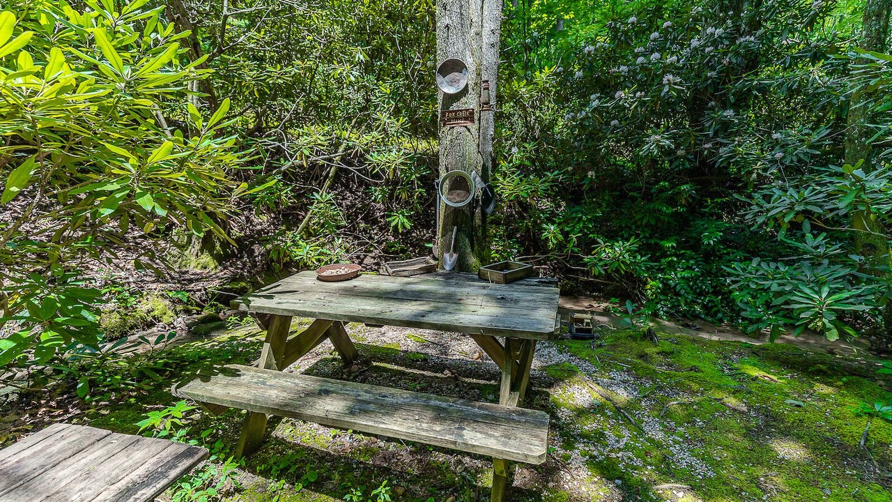 Photo of Outdoor in Lake Toxaway