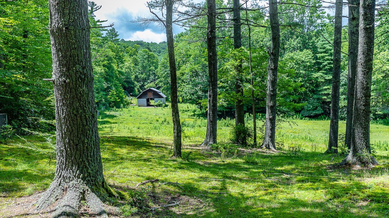 Photo of Outdoor in Lake Toxaway