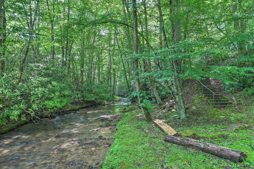 Photo of Outdoor in Mars Hill